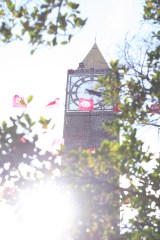 The clocktower on Ave Habib Bourguiba, and Tunisian flags.