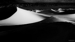 16509483889_297bfb39d9_m_d