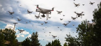 A whole lot of drones in the sky above trees